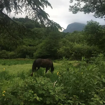 Muckross Luxury Residences Holiday home