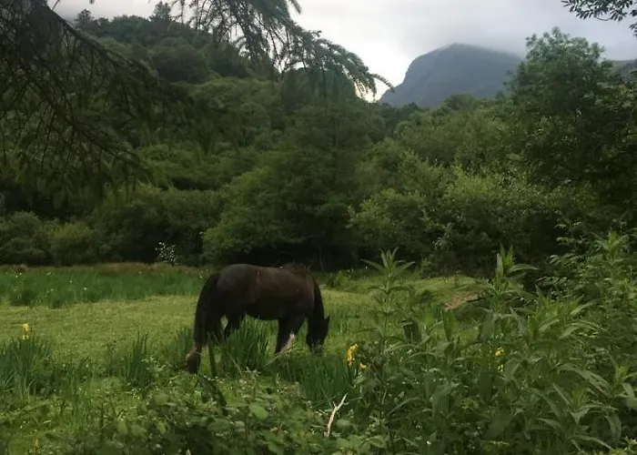 Muckross Luxury Residences 別荘